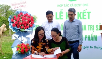 Lễ ký hợp tác kết nối chuỗi giá trị sản xuất và  bao tiêu sản phẩm Nhàu